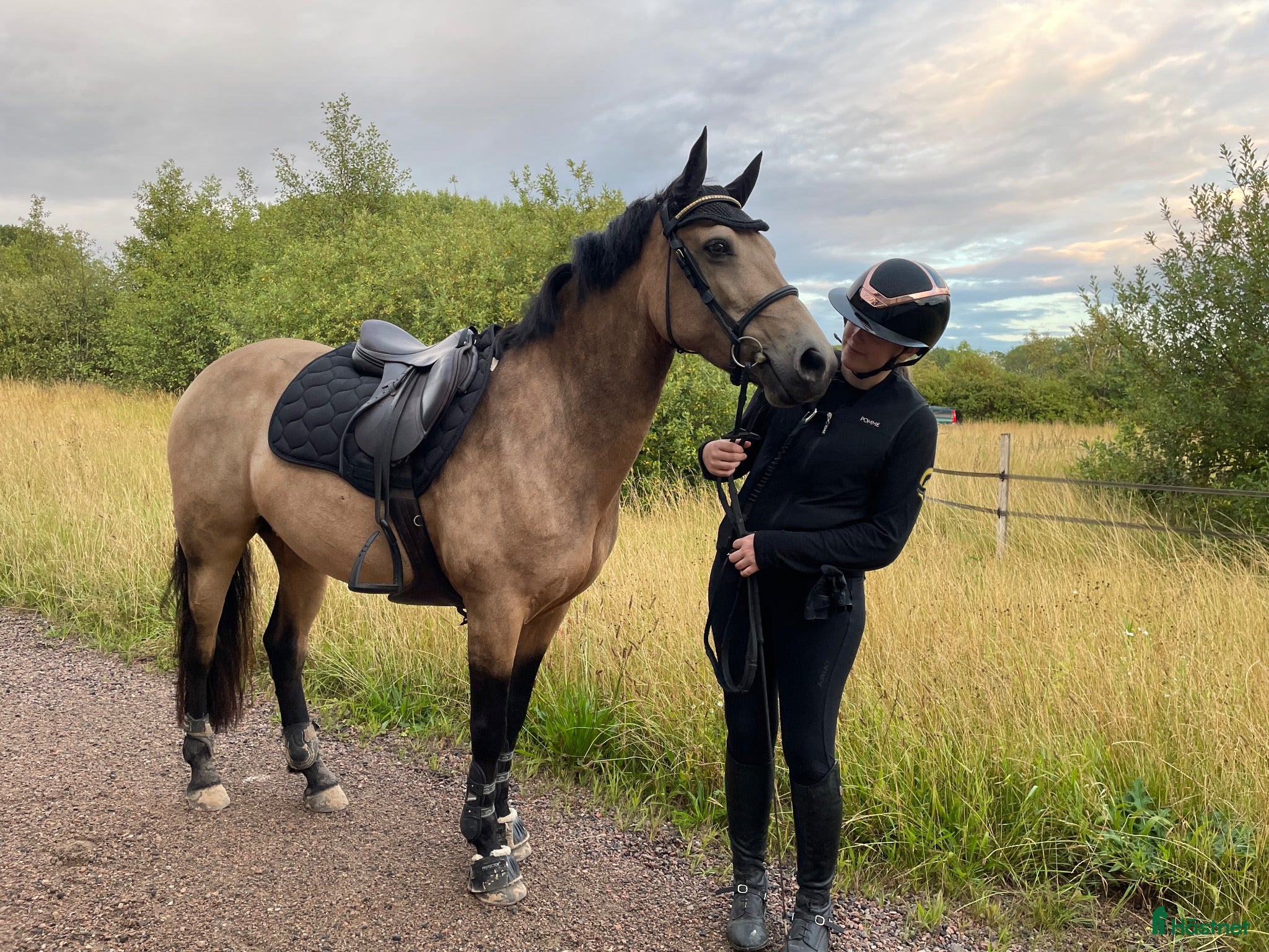  hästar D-ponny fin med hoppteknik och stort hjärta - Annons 16