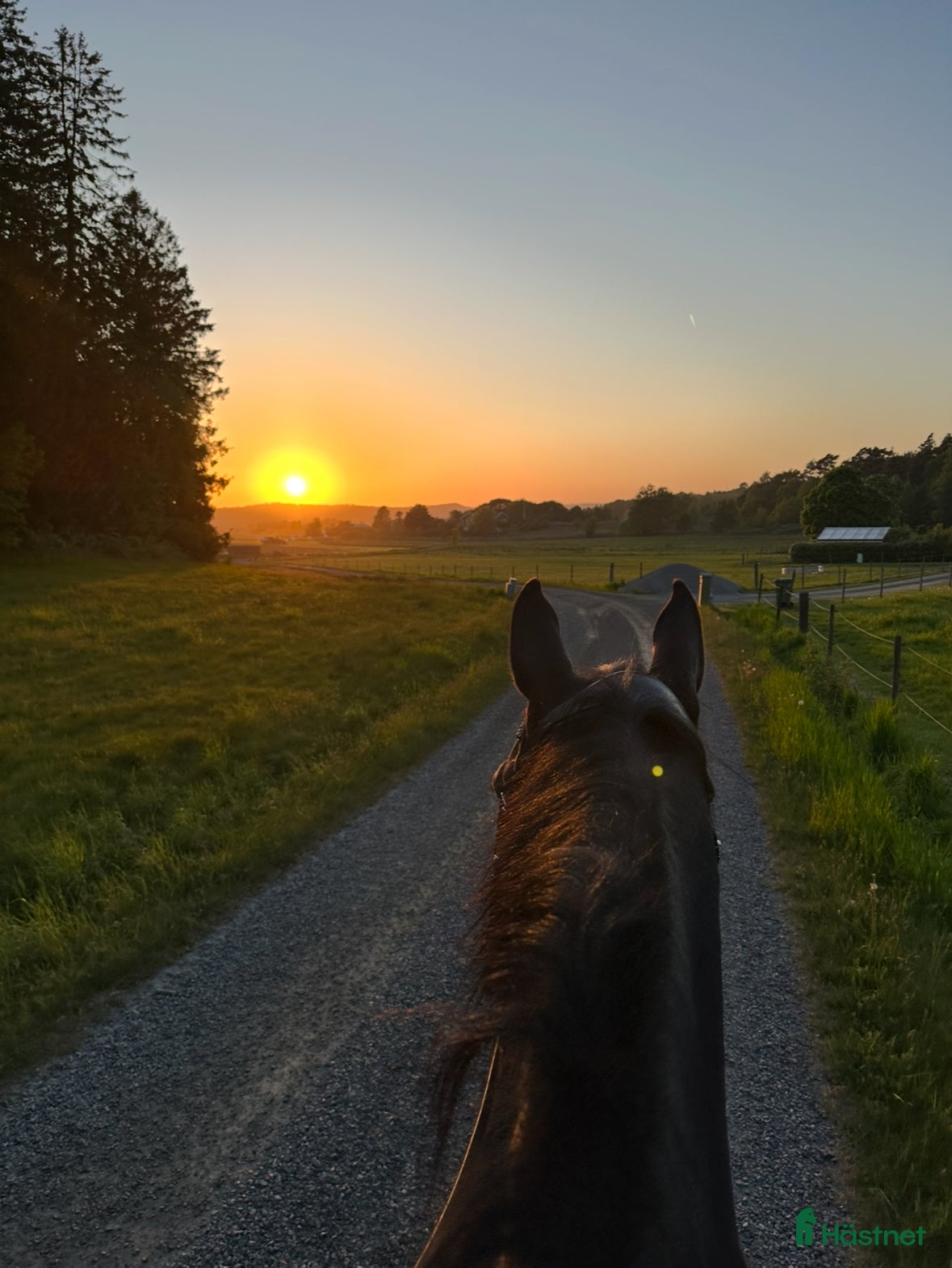  stallplats Bete finns i Fjärås, strax utanför Kungsbacka - Annons 5