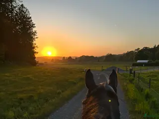 stallplats Bete finns i Fjärås, strax utanför Kungsbacka - Annons 1