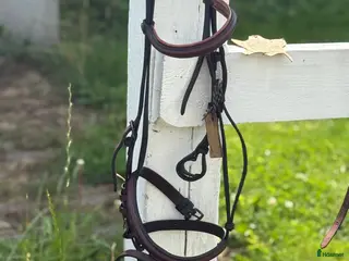 Träns hästutrustning Horse Head i Linköping - Annons 2