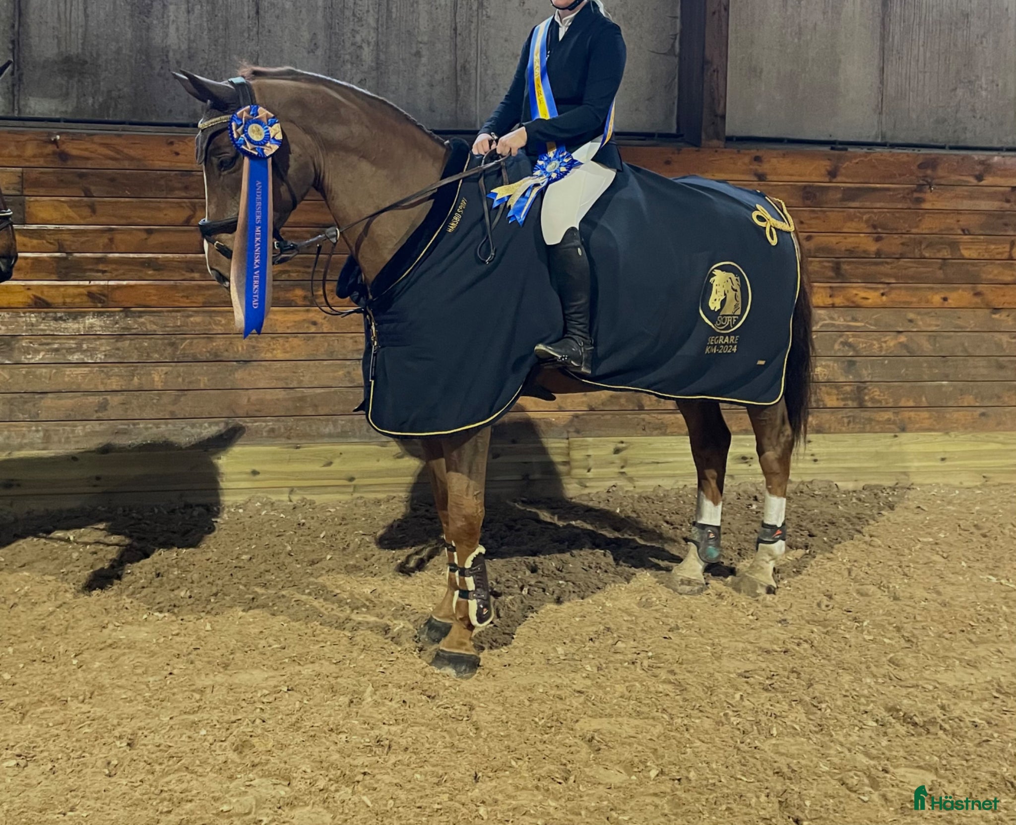  hästar Killen med hjärtat på rätt ställe  - Annons 3