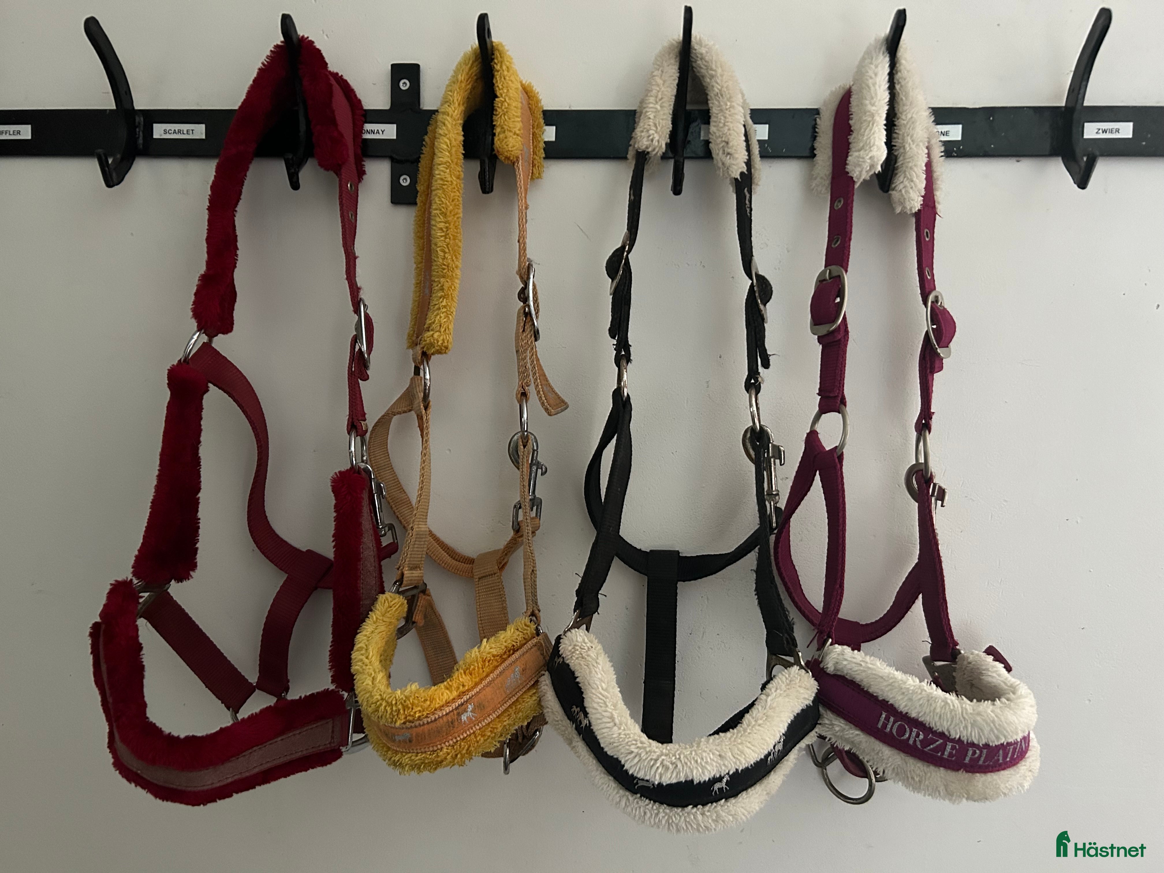 Övrig Hästutrustning hästutrustning till salu: 4 fluff grimmor stl. Cob - Annons 17