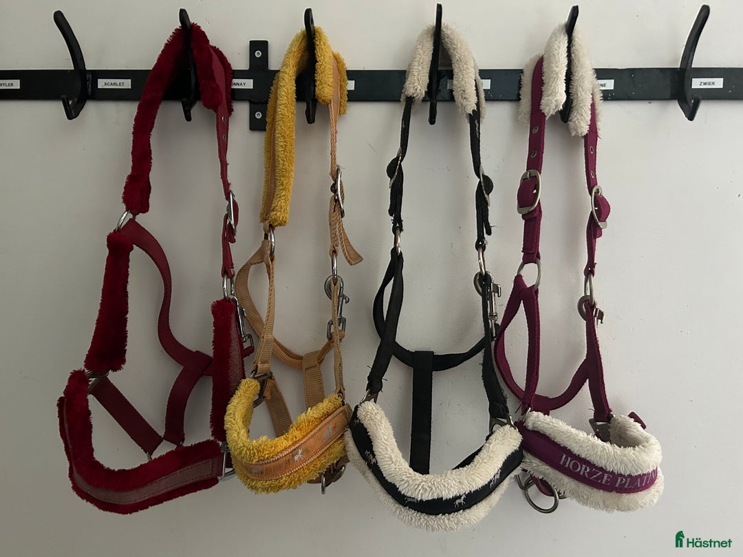 Övrig Hästutrustning hästutrustning till salu: 4 fluff grimmor stl. Cob i Vellinge - Annons 1