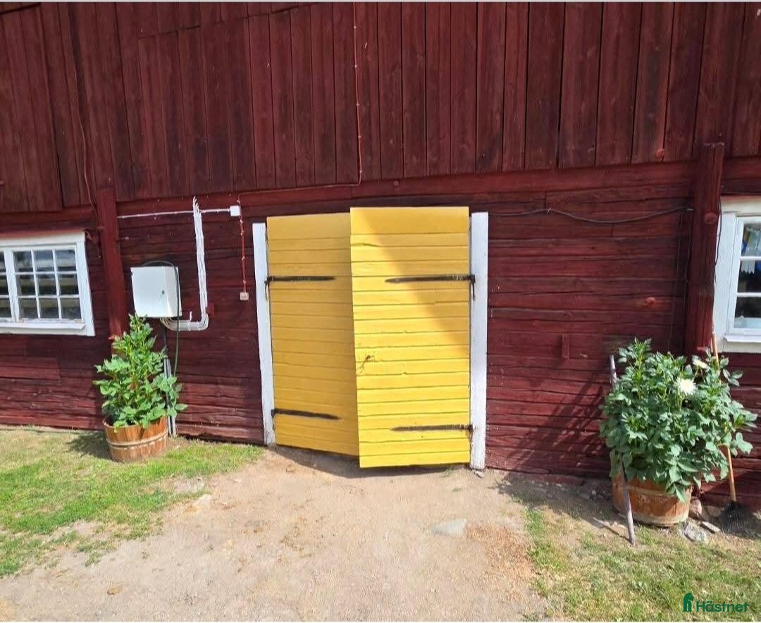  stallplats Ledig stallplats.  - Annons 12