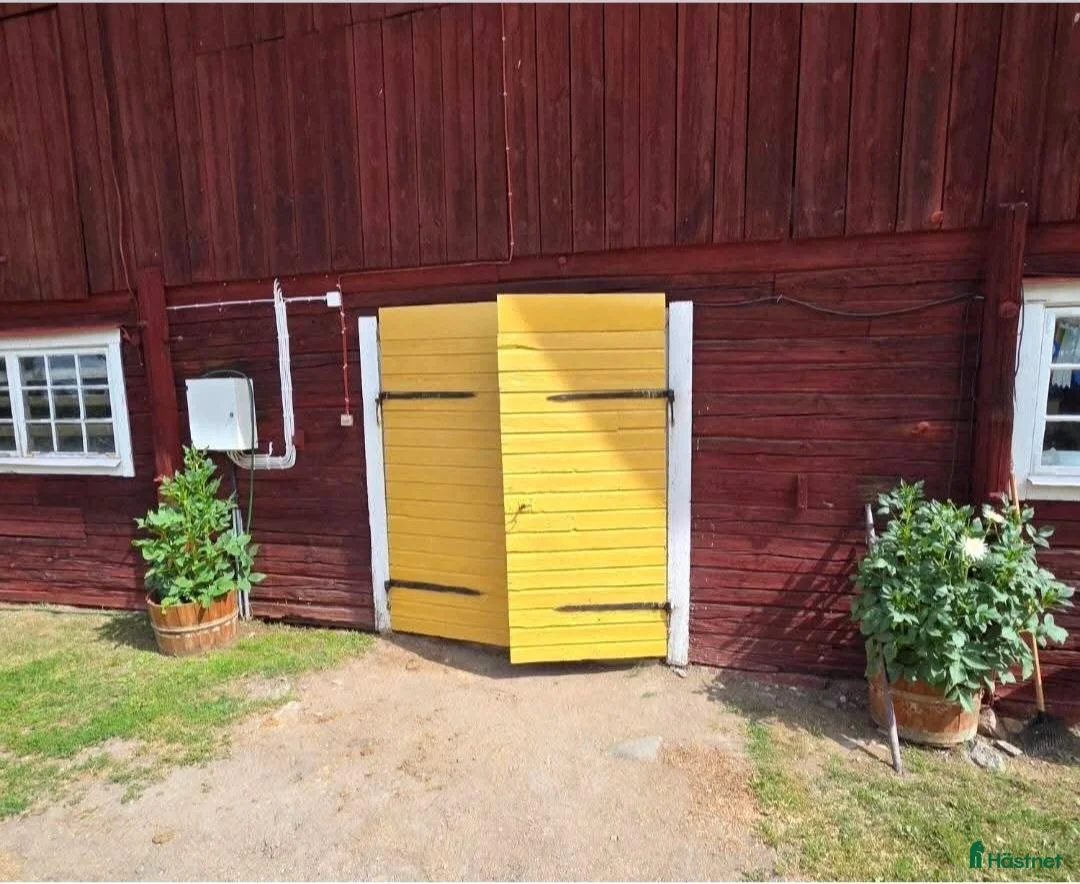  stallplats finnes: Ledig stallplats.  i Vingåker - Annons 1