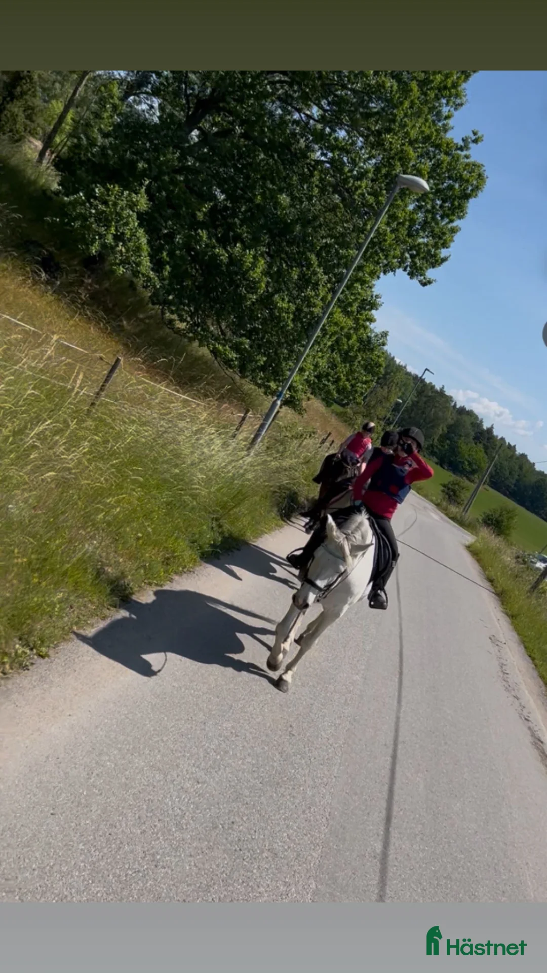  medryttarhäst sökes: Söker medryttarponny/skötare - Annons 1