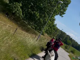 medryttarhäst sökes: Söker medryttarponny/skötare - Annons 4