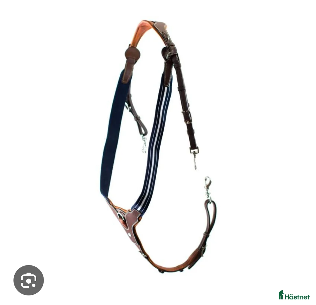 Sadeltillbehör hästutrustning till salu: Förbygel från Antares - Annons 2