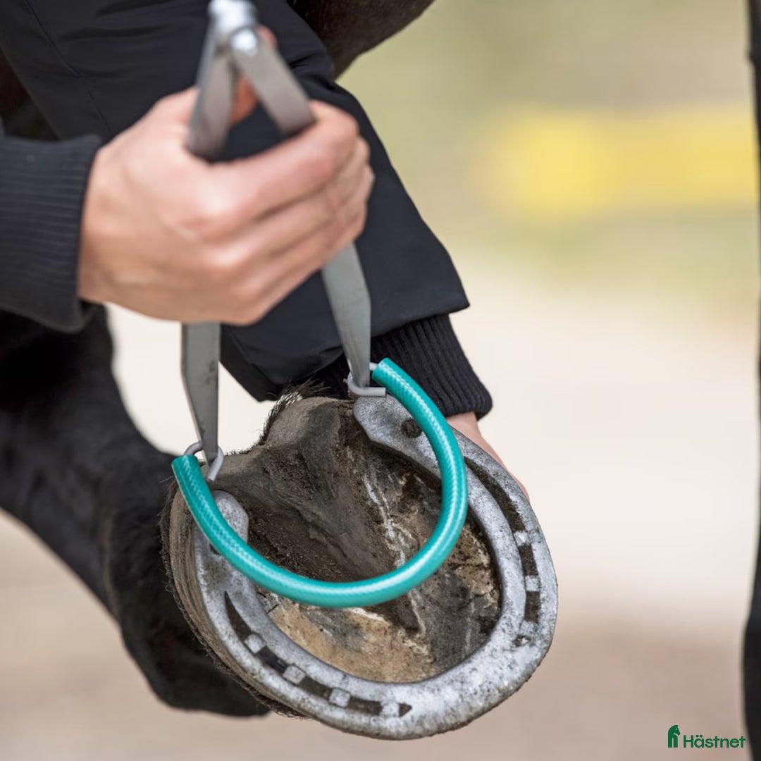 Övrig Hästutrustning hästutrustning till salu: Huf flex small  i Onsala - Annons 2
