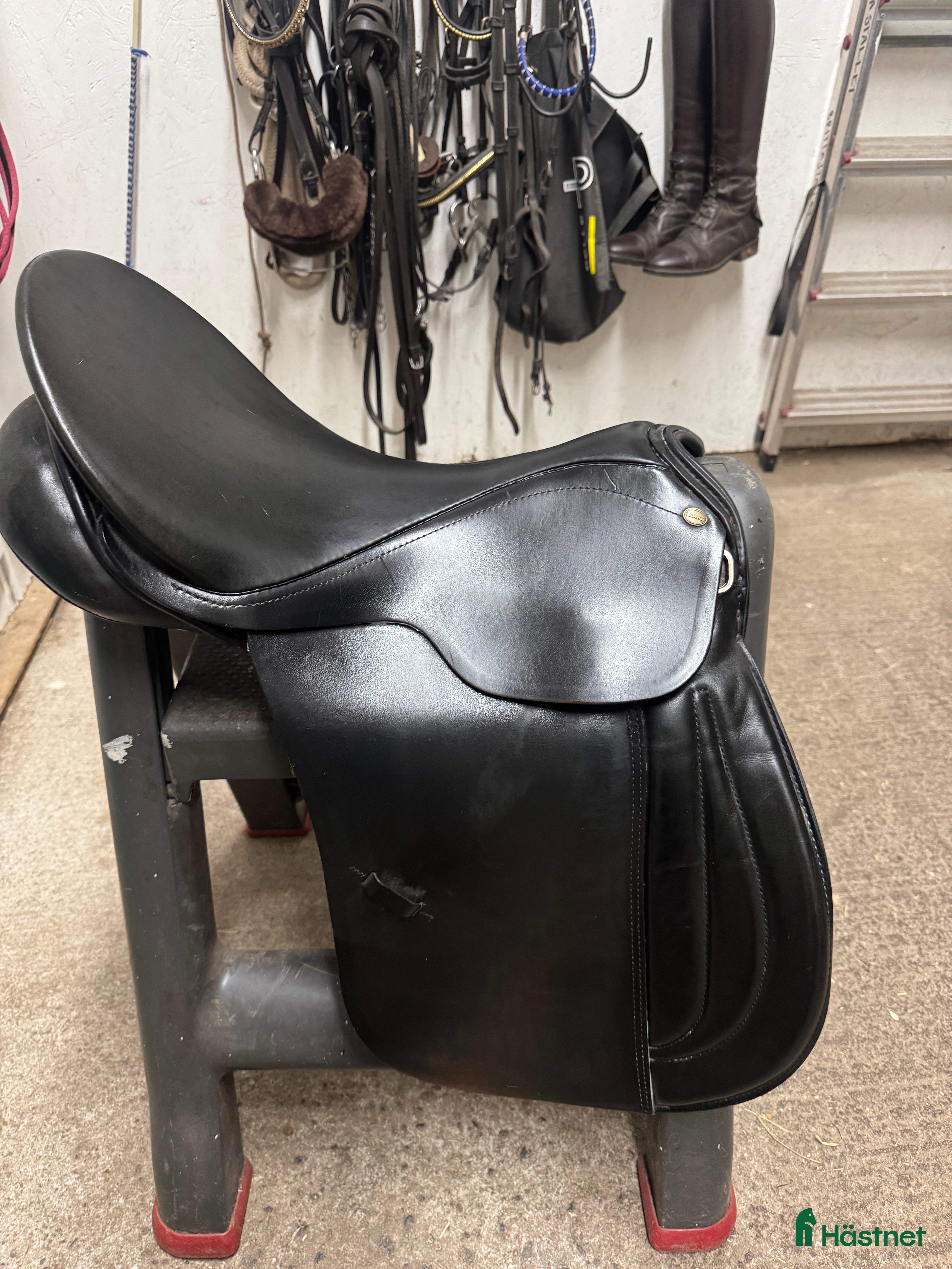 Sadlar hästutrustning Allround sadel  - Annons 20