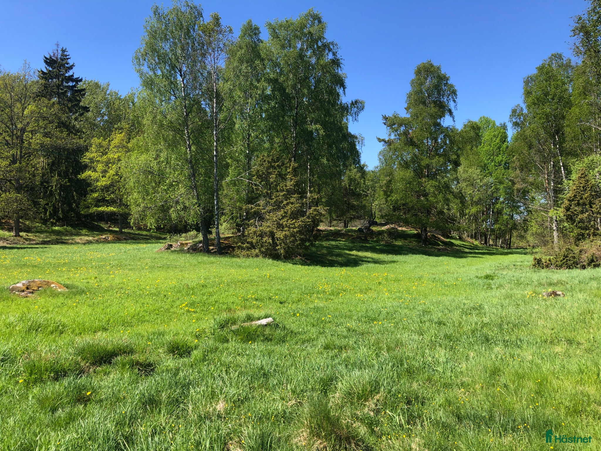 stallplats Sommarbete för snäll valack - Annons 16