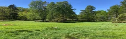  stallplats finnes: Sommarbete för snäll valack - Annons 1