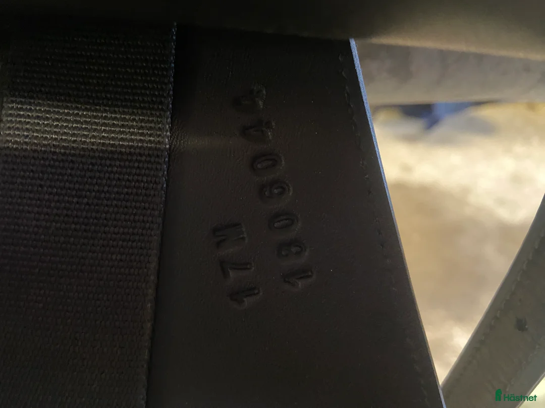 Sadlar hästutrustning till salu: Lippo Azzario Pro i Mariestad - Annons 5