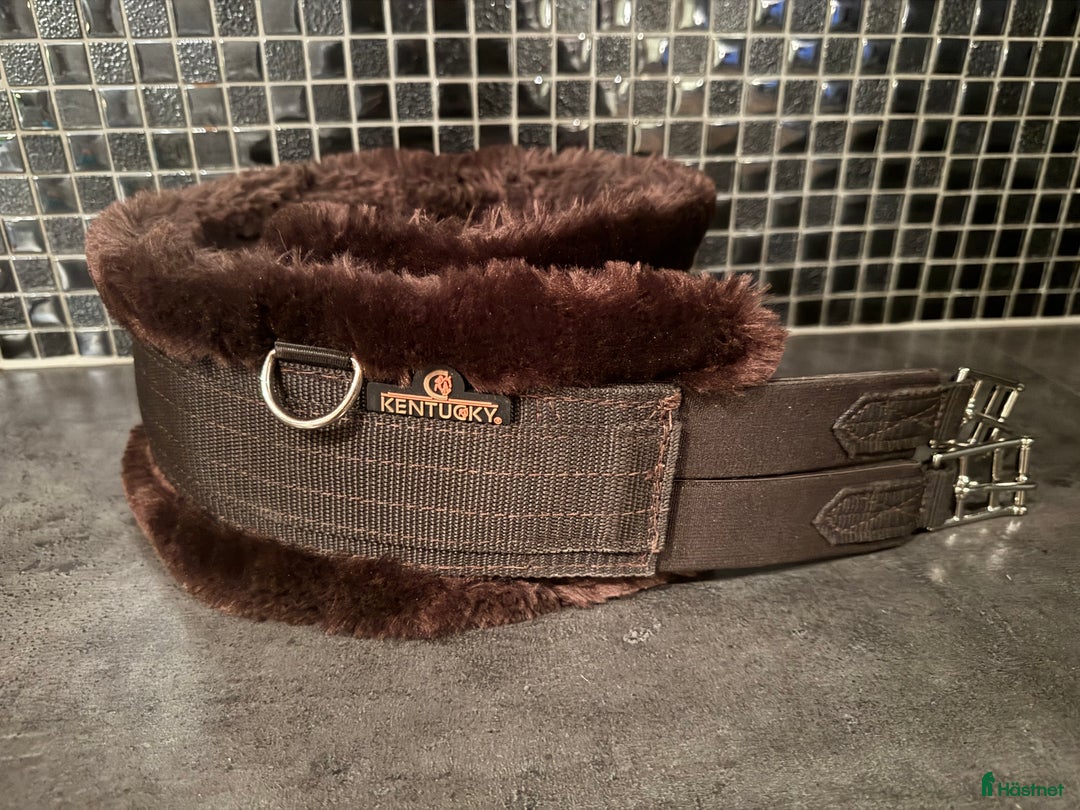 Sadeltillbehör hästutrustning till salu: Kentucky sadelgjord  i Gotlands Tofta - Annons 1