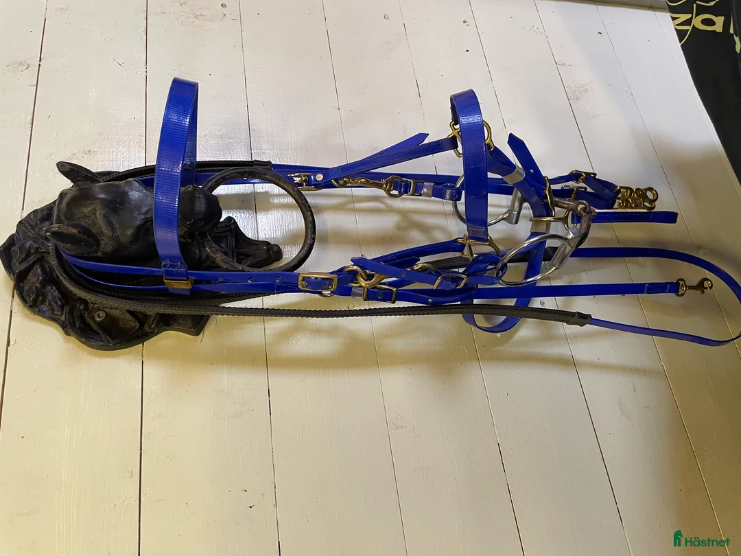 Träns hästutrustning till salu: Classic Biothane Halter Bridle - Annons 1