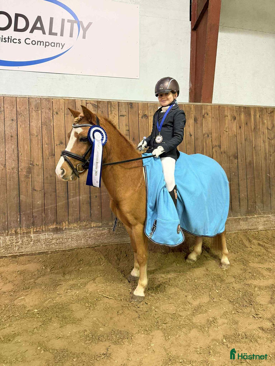 Allround hästar till salu: Vacker och lättlärd ponny till salu - Annons 2