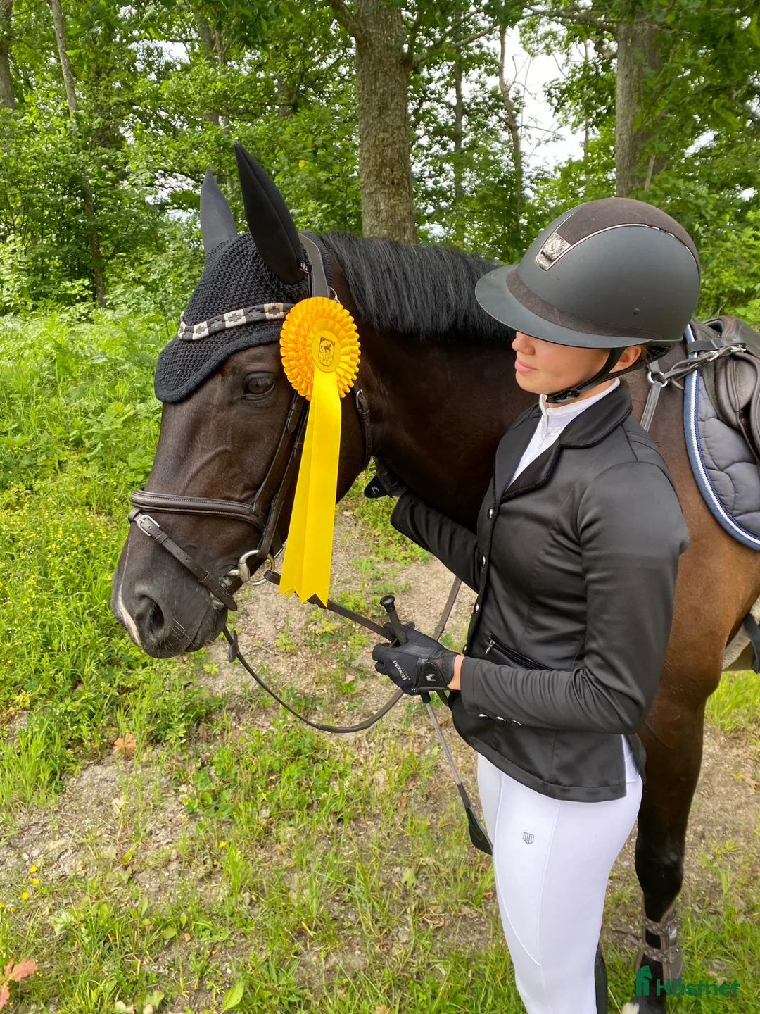 Allround hästar till salu: Lyxig hobbyhäst - Annons 1