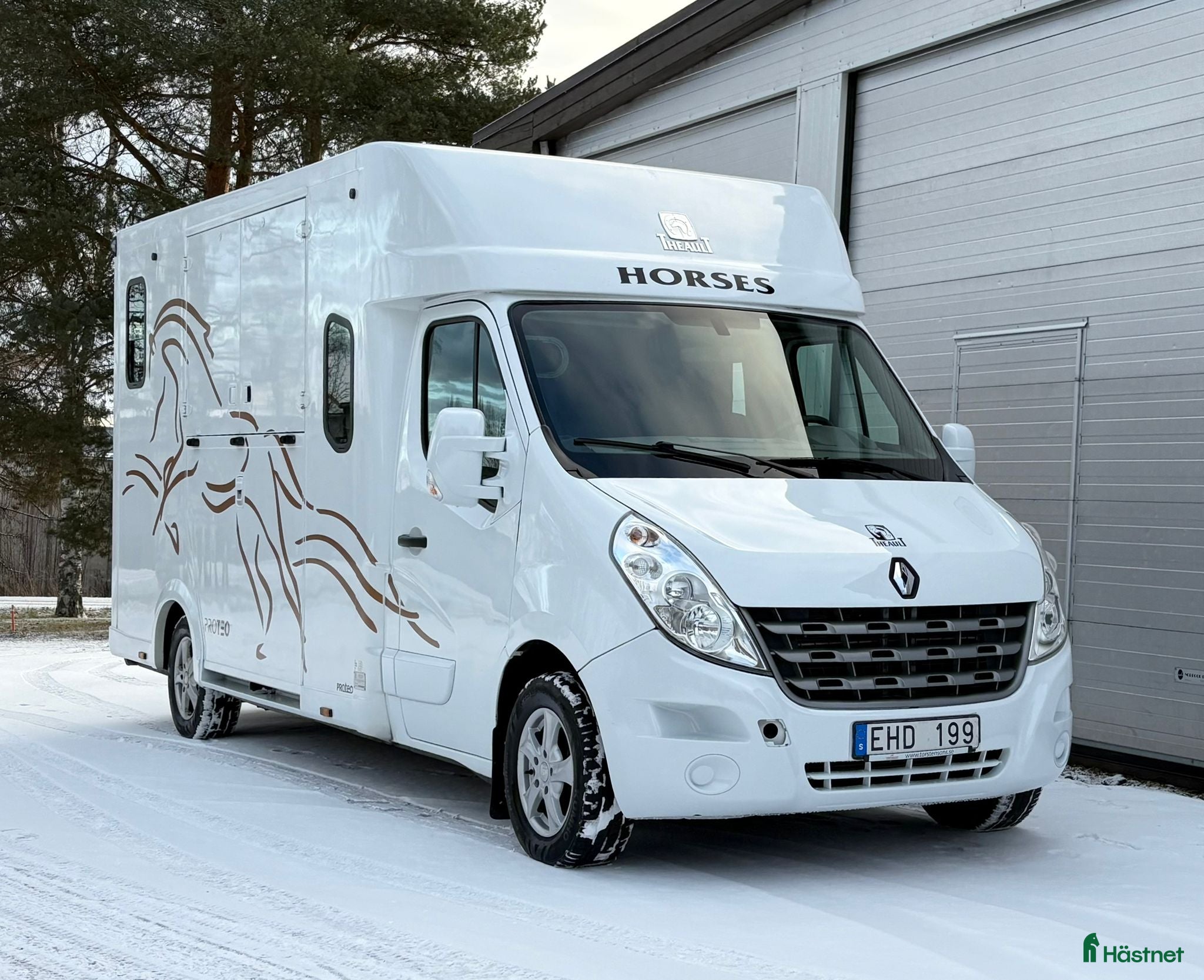 Hästlastbilar  fordon &amp; transport till salu: 5-sitsig Theault Proteo STUTERI hästlastbil  i Stockholm - Annons 15