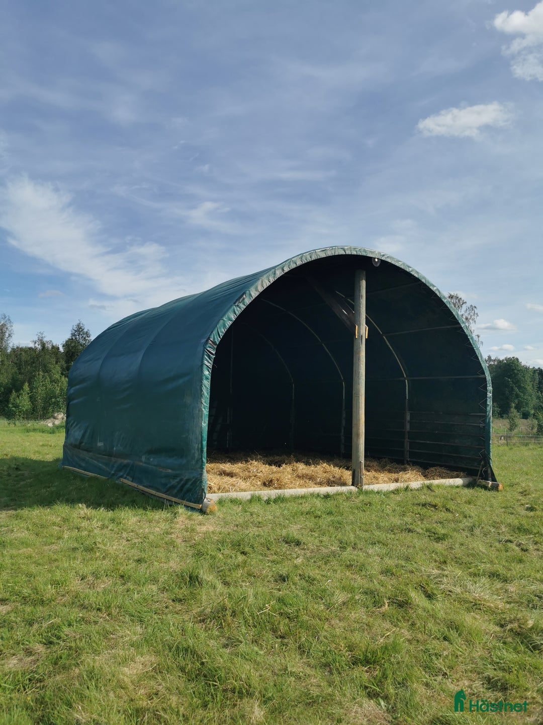 Allround hästar sökes: Läromästare sökes  i Kilafors - Annons 2