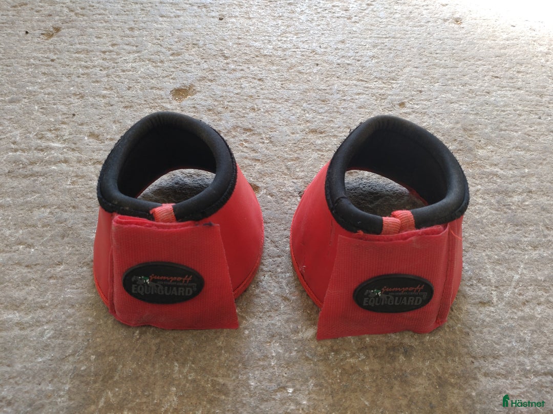 Övrig Hästutrustning hästutrustning till salu: Allt ska bort  i Knivsta - Annons 4