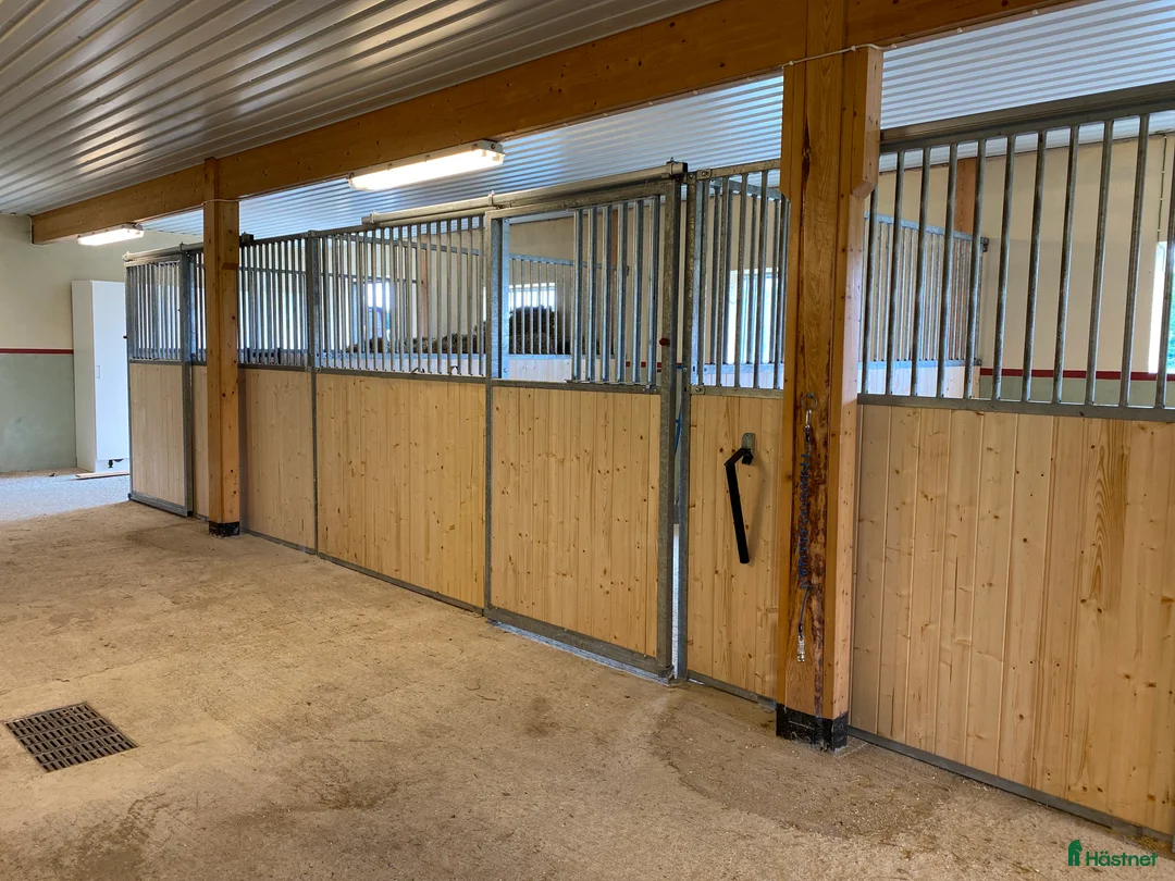  hästservice finnes: Konvalescensstall i Enköping - Annons 3