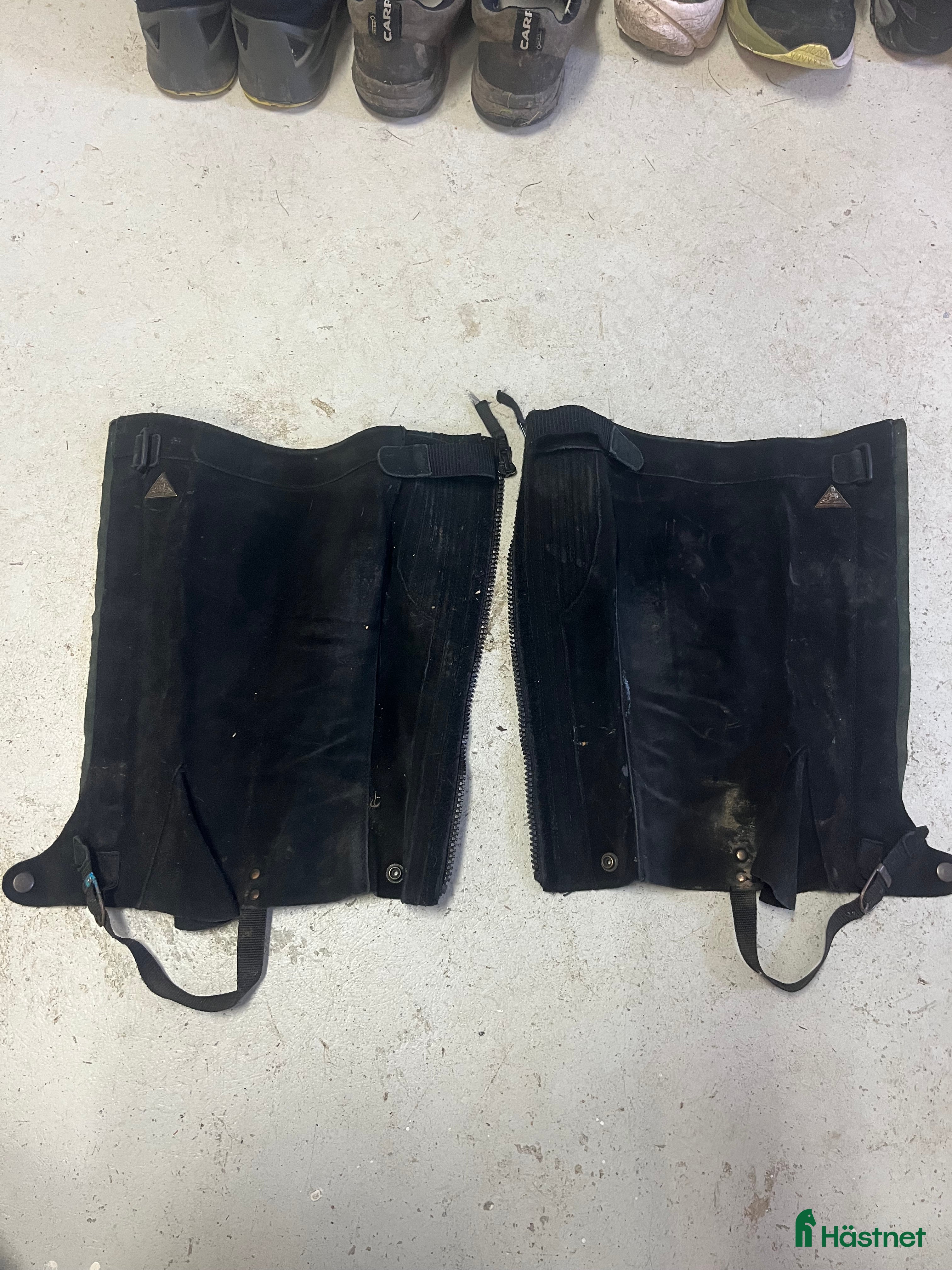 Övrig Ryttarutrustning ryttarutrustning till salu: Shortchaps storlek M i Uppsala - Annons 23