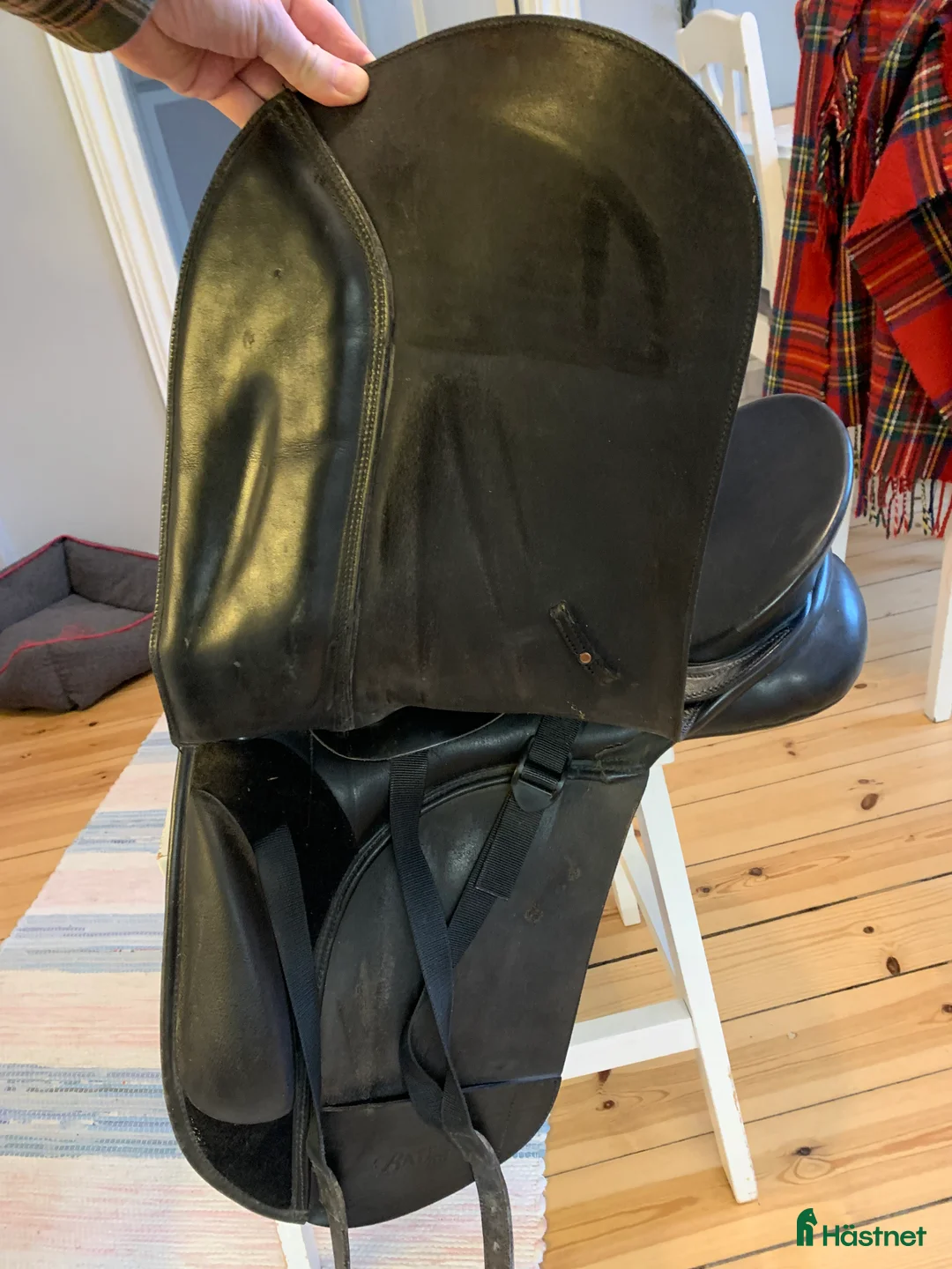 Sadlar hästutrustning till salu: Bates Maestro i Nynäshamn - Annons 5