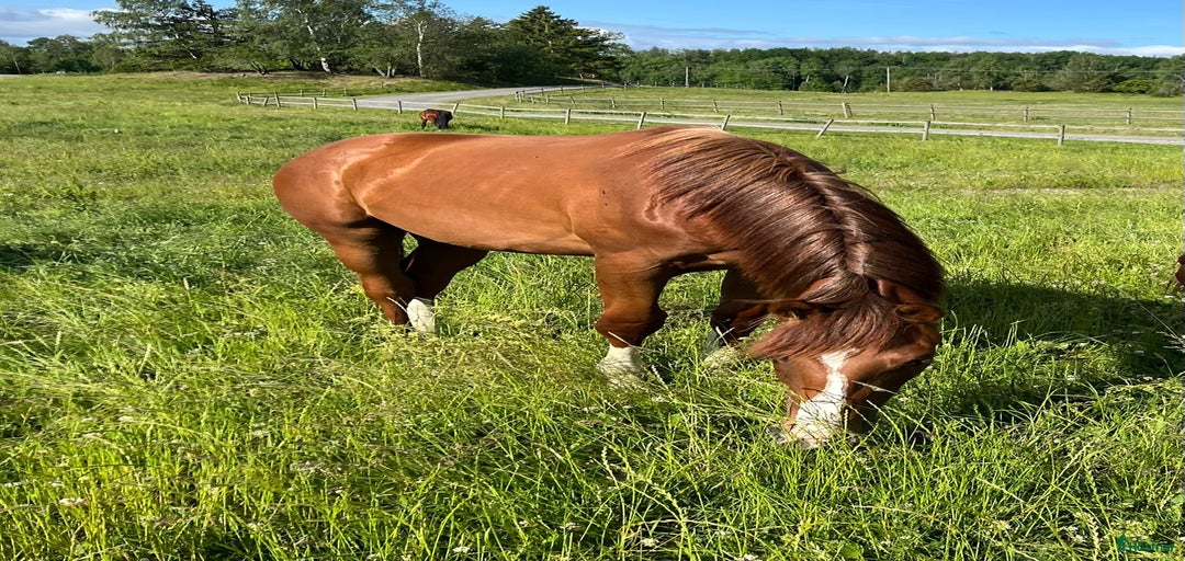 Galleribild {{count}}