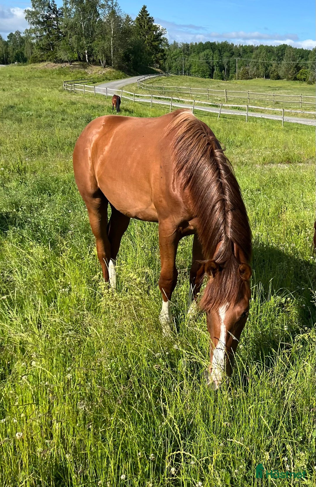 Galleribild {{count}}