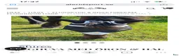 Övrig Hästutrustning hästutrustning till salu: Flyguard Pro storlek Full - Annons 1