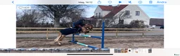  medryttarhäst finnes: Världens bästa Musse - Annons 3