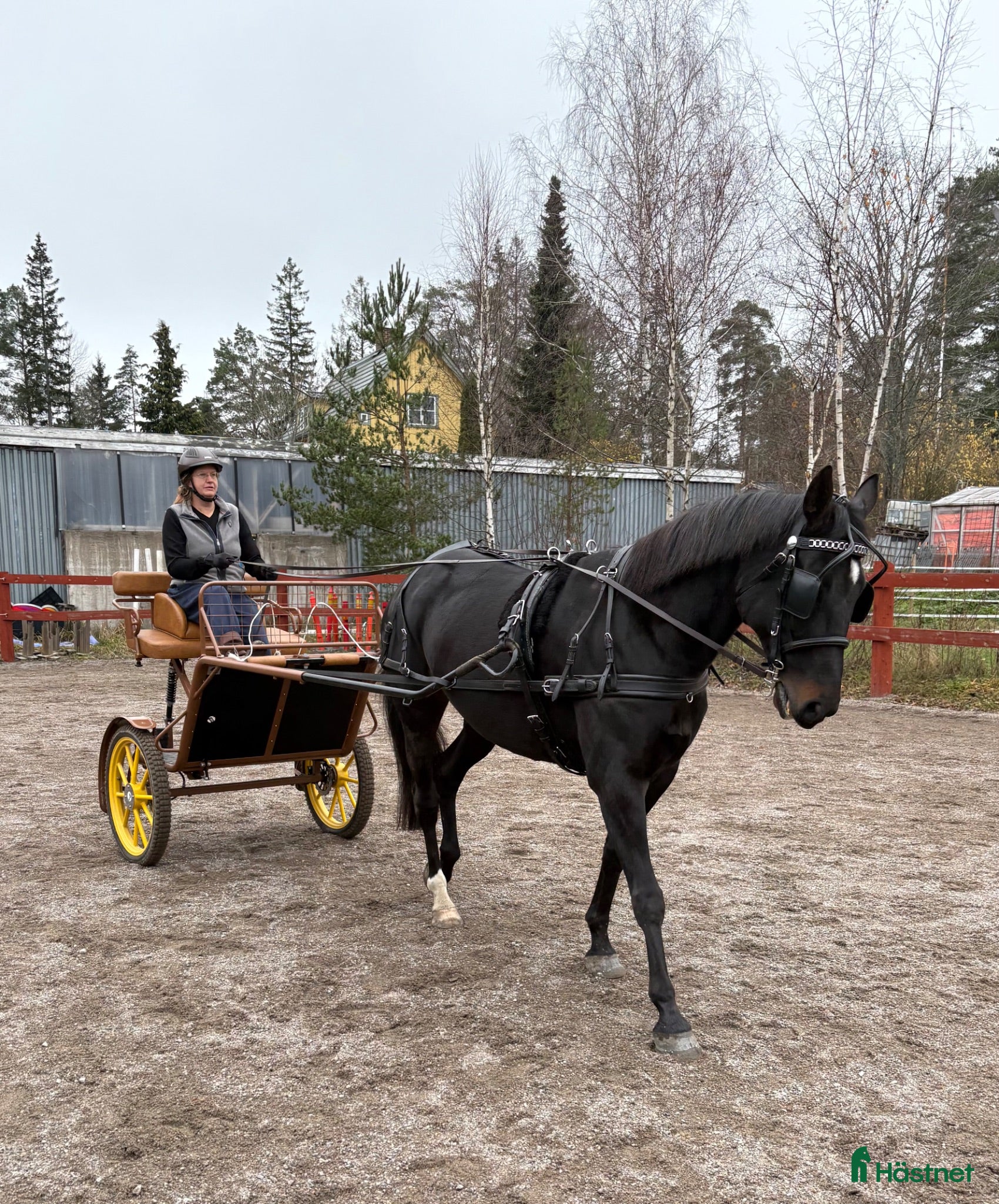 Körvagnar körning till salu: Inkörningsvagn med broms - Annons 4