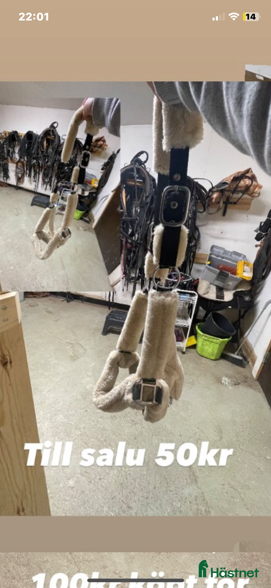 Schabrak & Vojlockar hästutrustning till salu: Schabrak och grimmor  - Annons 6