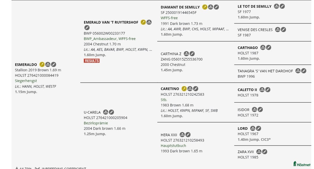 Allround hästar till salu: Mycket vackert stoföl E: Esmeraldo  i Surte - Annons 5