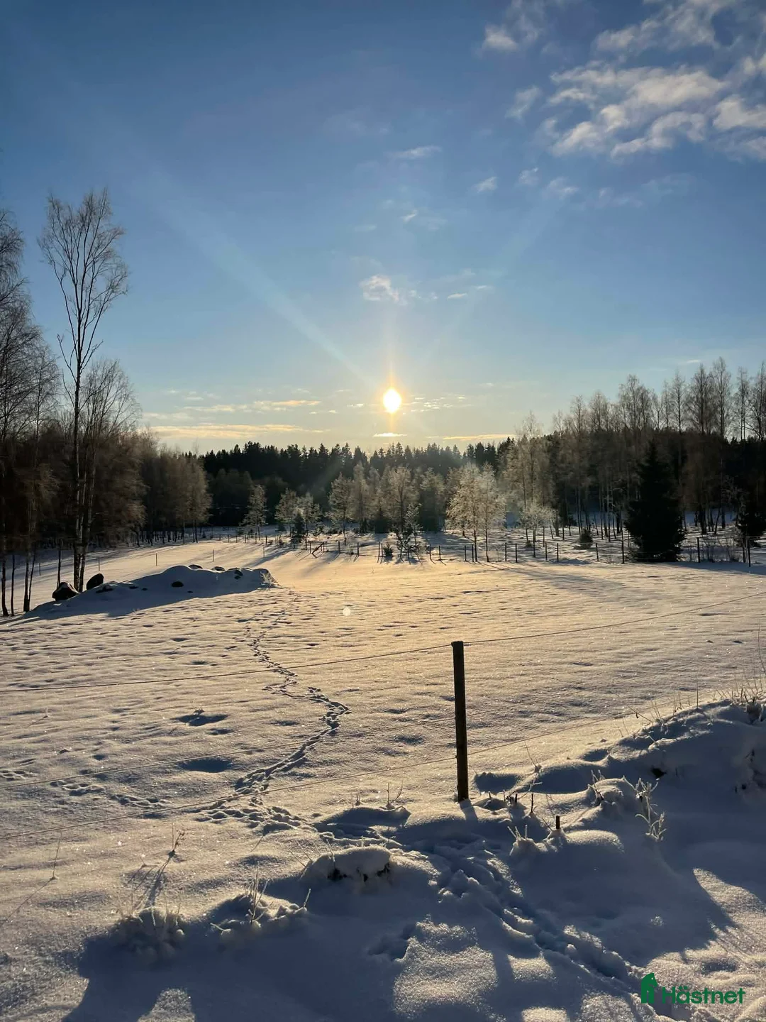  stallplats finnes: Lösdrift nära Södertälje  i Järna - Annons 3