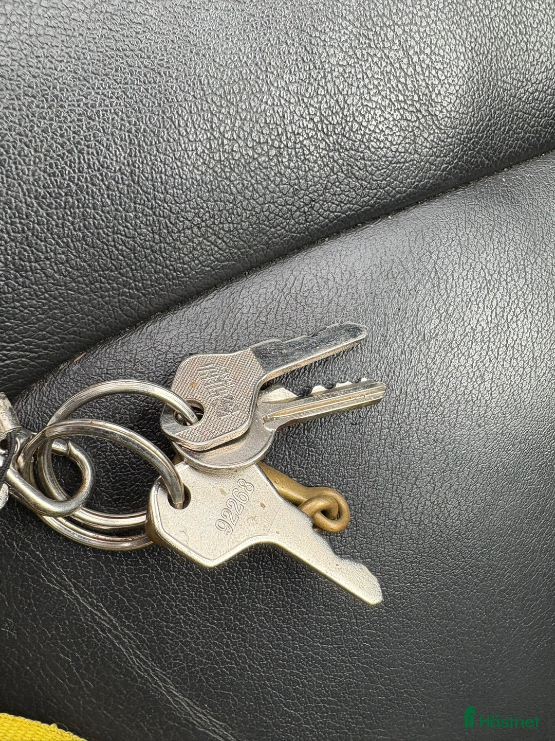 Hästtransporter  fordon & transport till salu: Cheval Liberte Gold - hög lastvikt! i Tävelsås - Annons 17