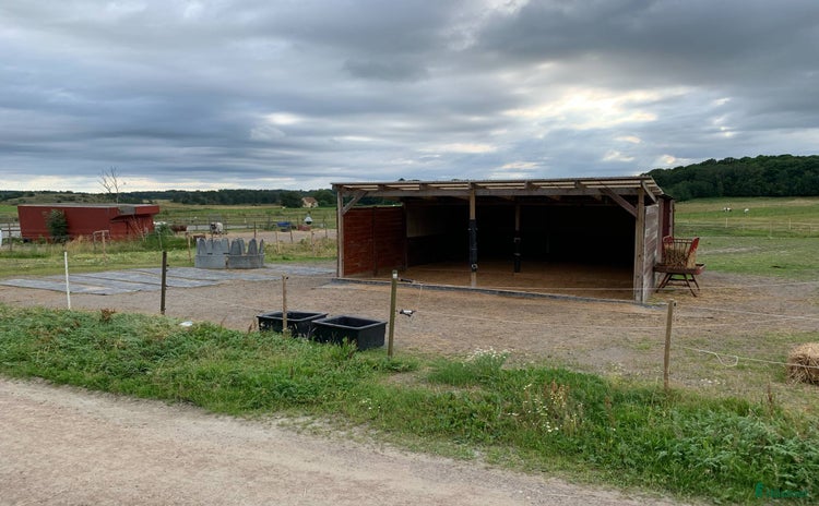 stallplats i Säve - Annons 9