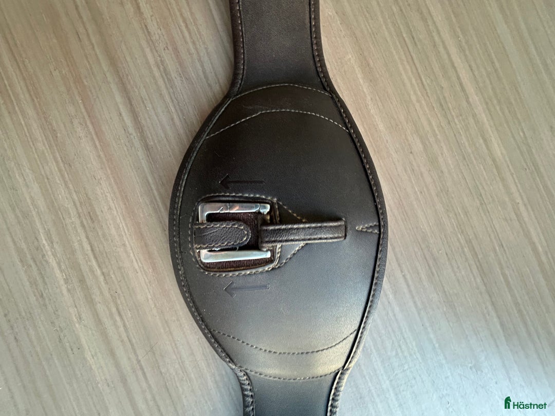 Sadeltillbehör hästutrustning till salu: Wintec sadelgjord i Kungsbacka - Annons 1