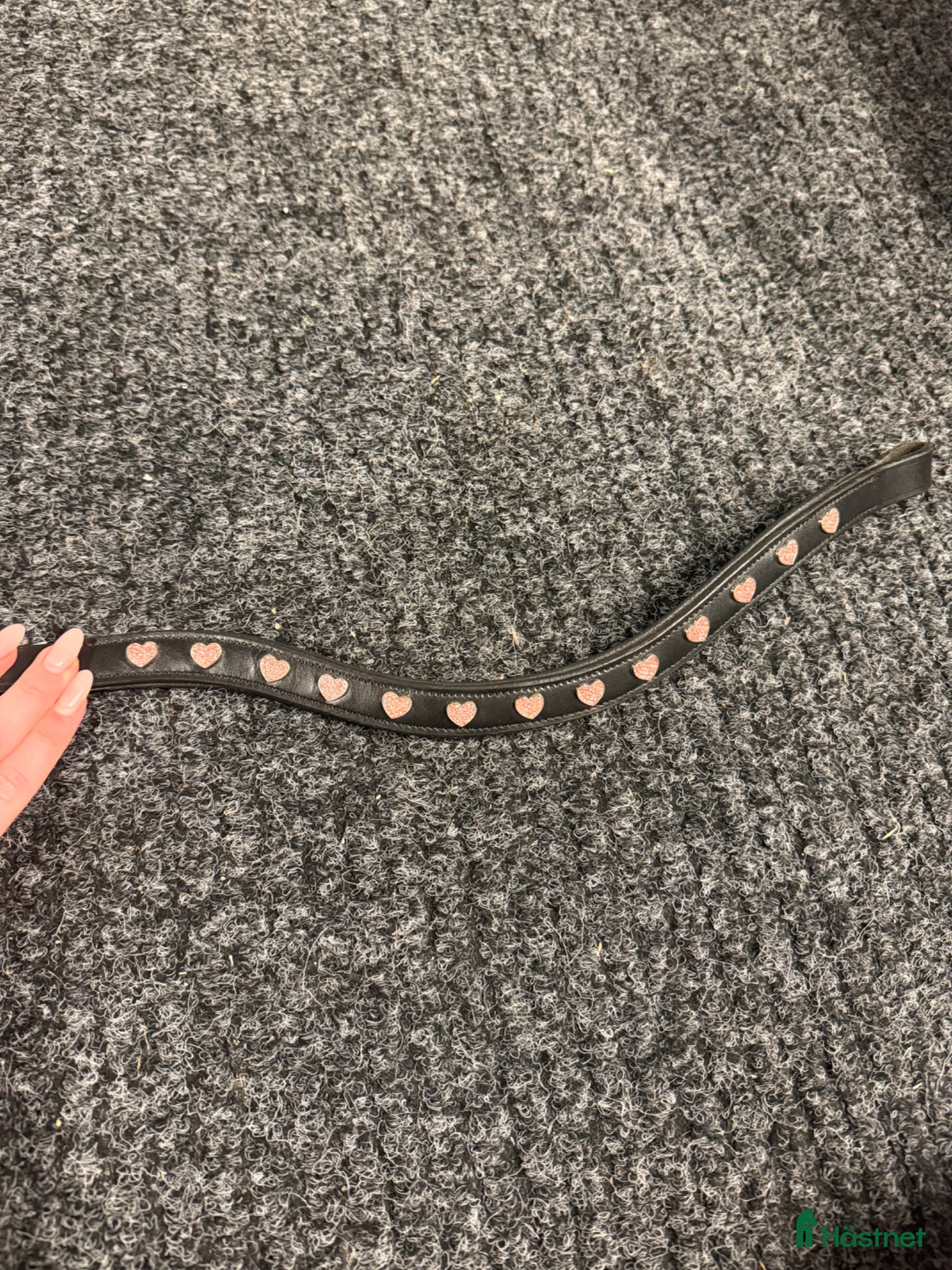 Övrig Hästutrustning hästutrustning till salu: Superfint pannband - Annons 2