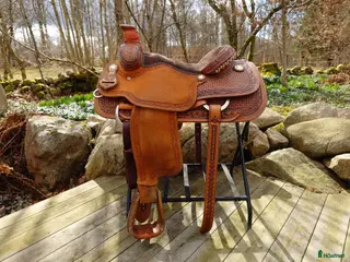 Sadlar hästutrustning Circle Y Brisco Roper - Annons 1