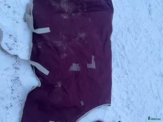 Täcken hästutrustning till salu: Amigo täcke i Södertälje - Annons 3