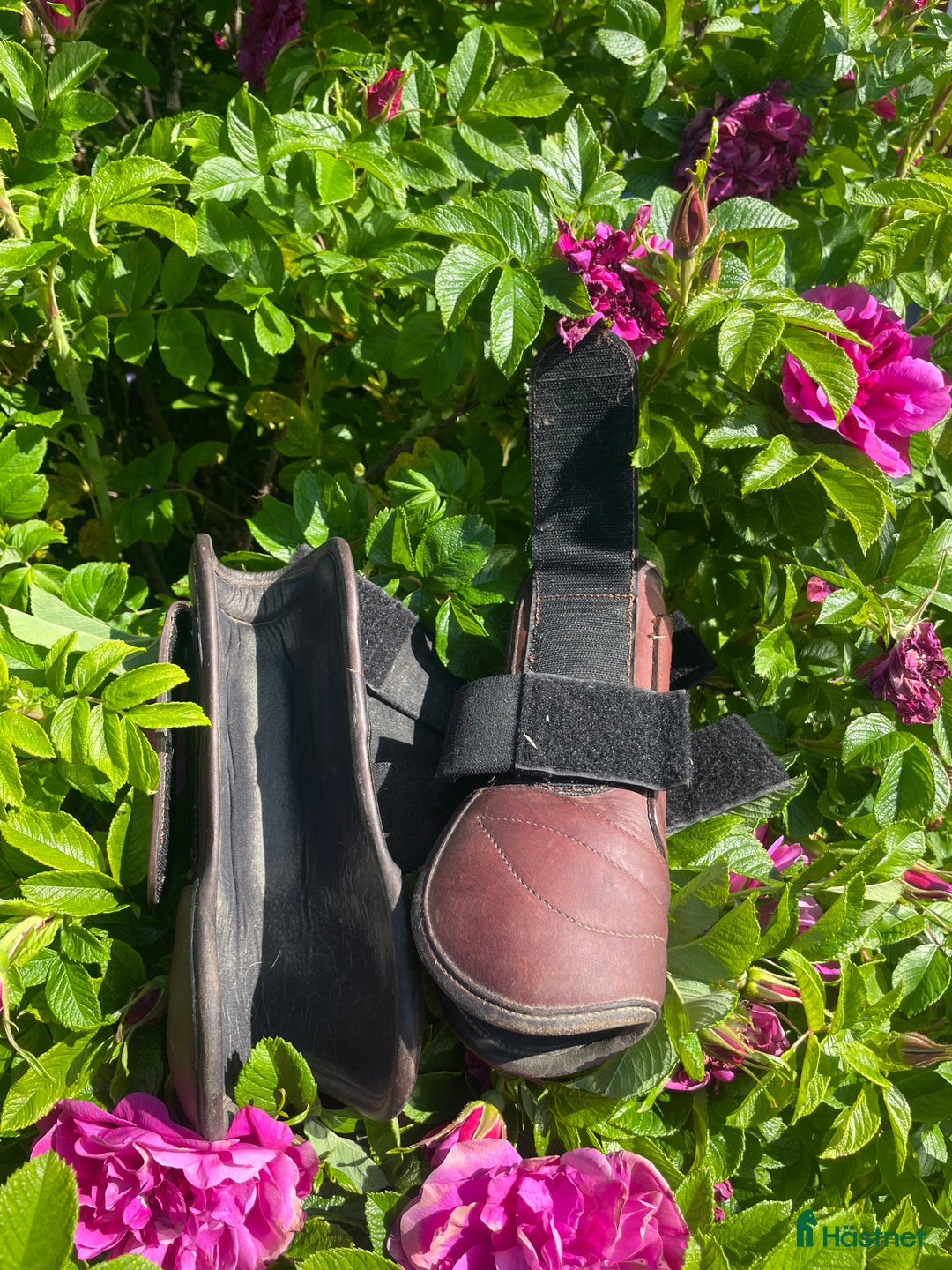 Benskydd hästutrustning till salu: Benskydd i Östersund - Annons 4