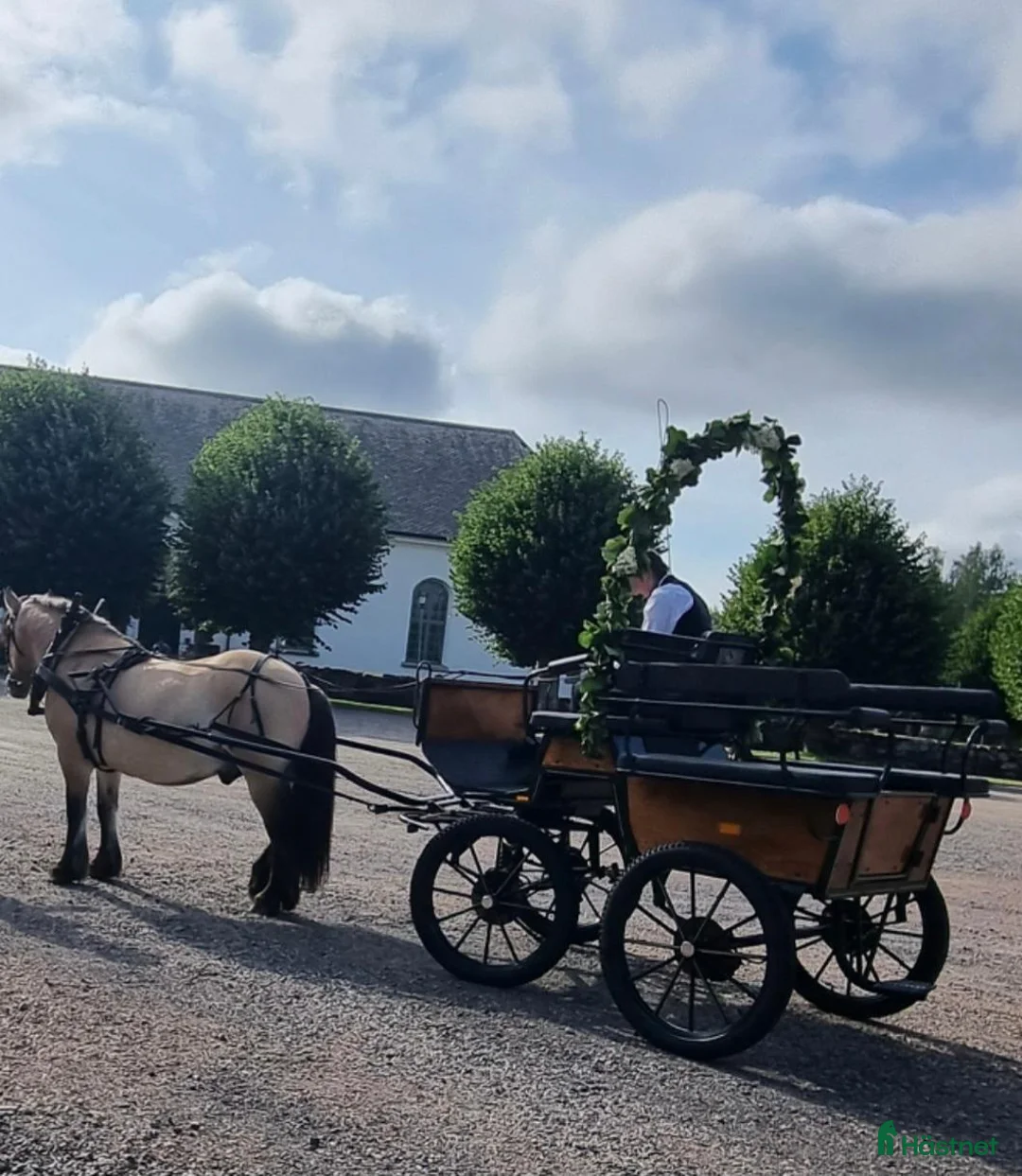 Körvagnar körning till salu: Wagonette - Annons 2