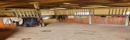  stallplats finnes: Stallplats ledig i Huskvarna - Annons 4