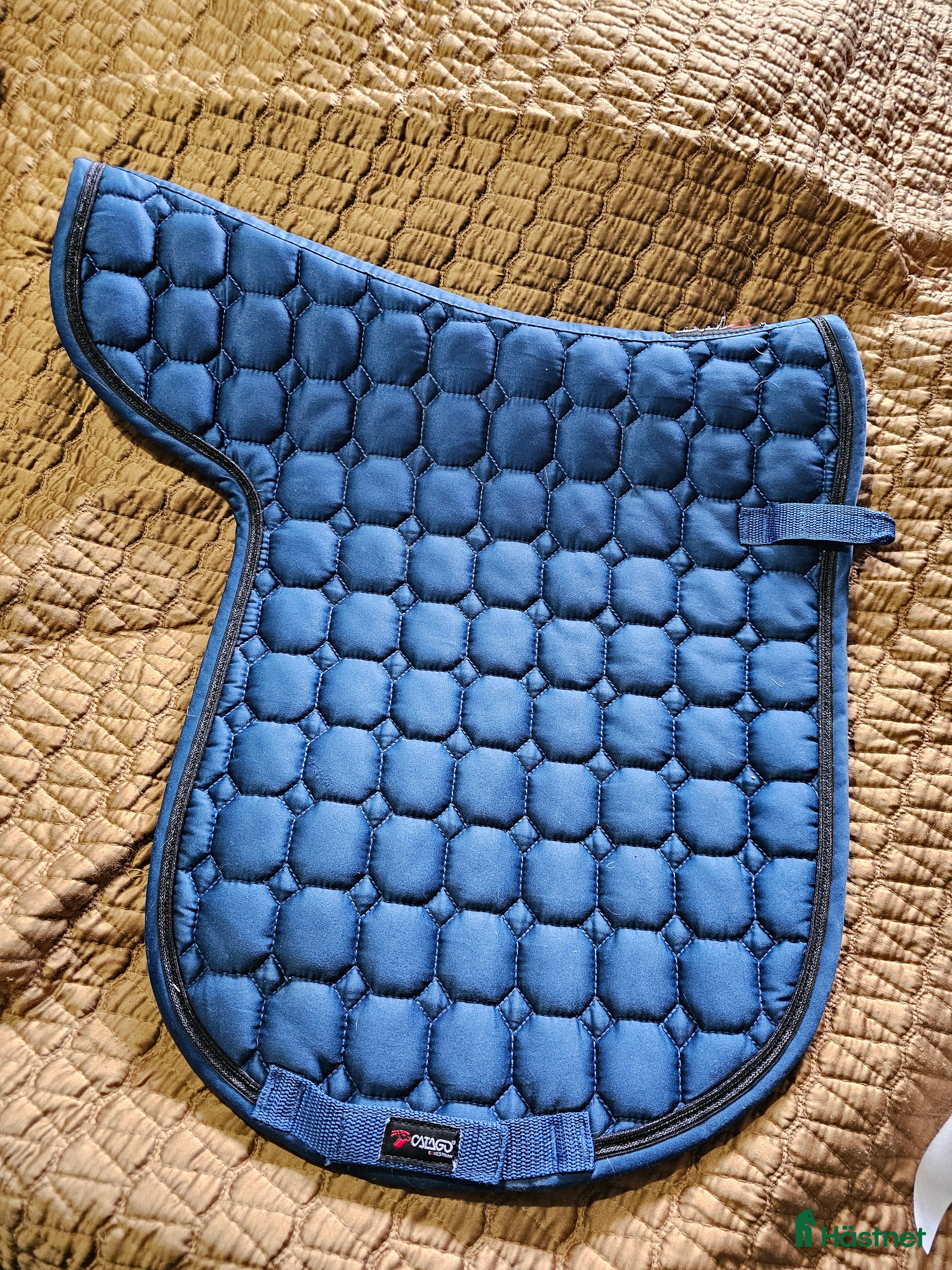 Schabrak & Vojlockar hästutrustning till salu: Catago vojlock i Söråker - Annons 23