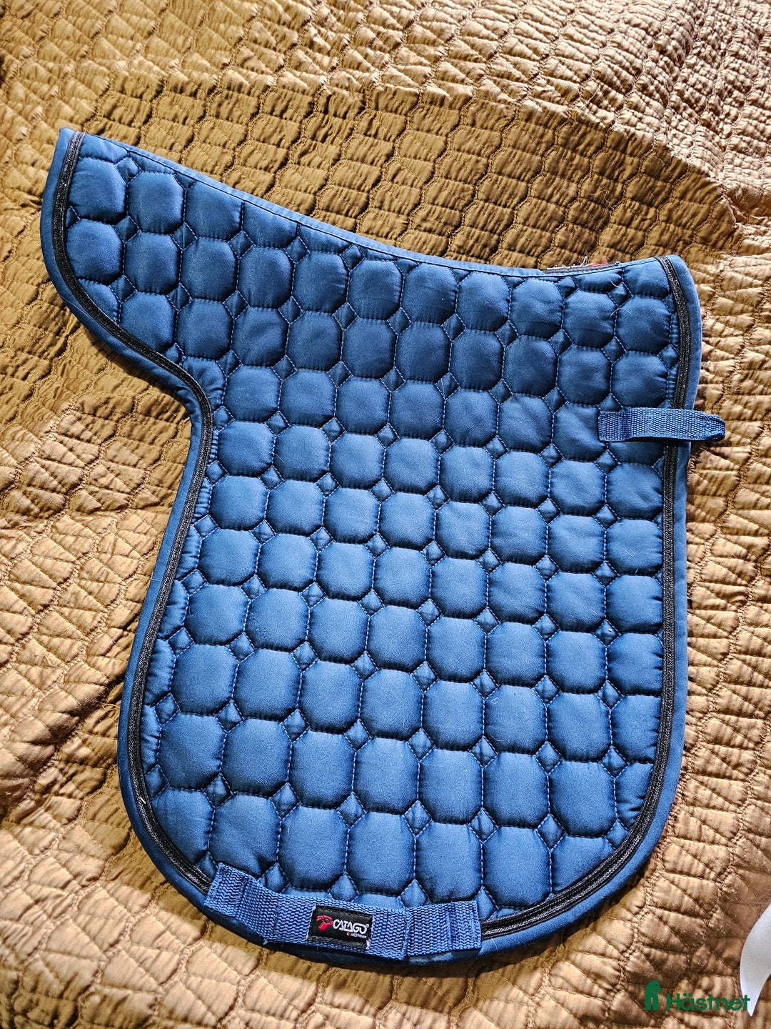 Schabrak & Vojlockar hästutrustning till salu: Catago vojlock i Söråker - Annons 1