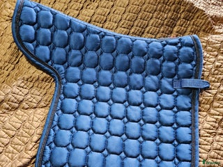 Schabrak & Vojlockar hästutrustning till salu: Catago vojlock i Söråker - Annons 19