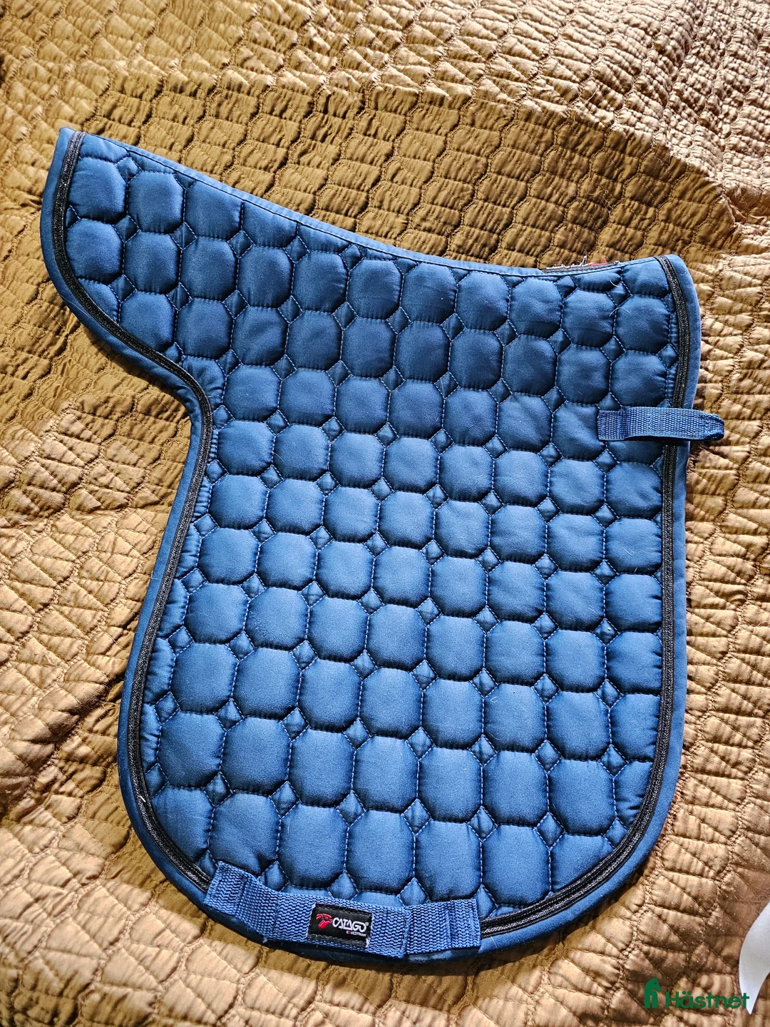 Schabrak & Vojlockar hästutrustning till salu: Catago vojlock i Söråker - Annons 1