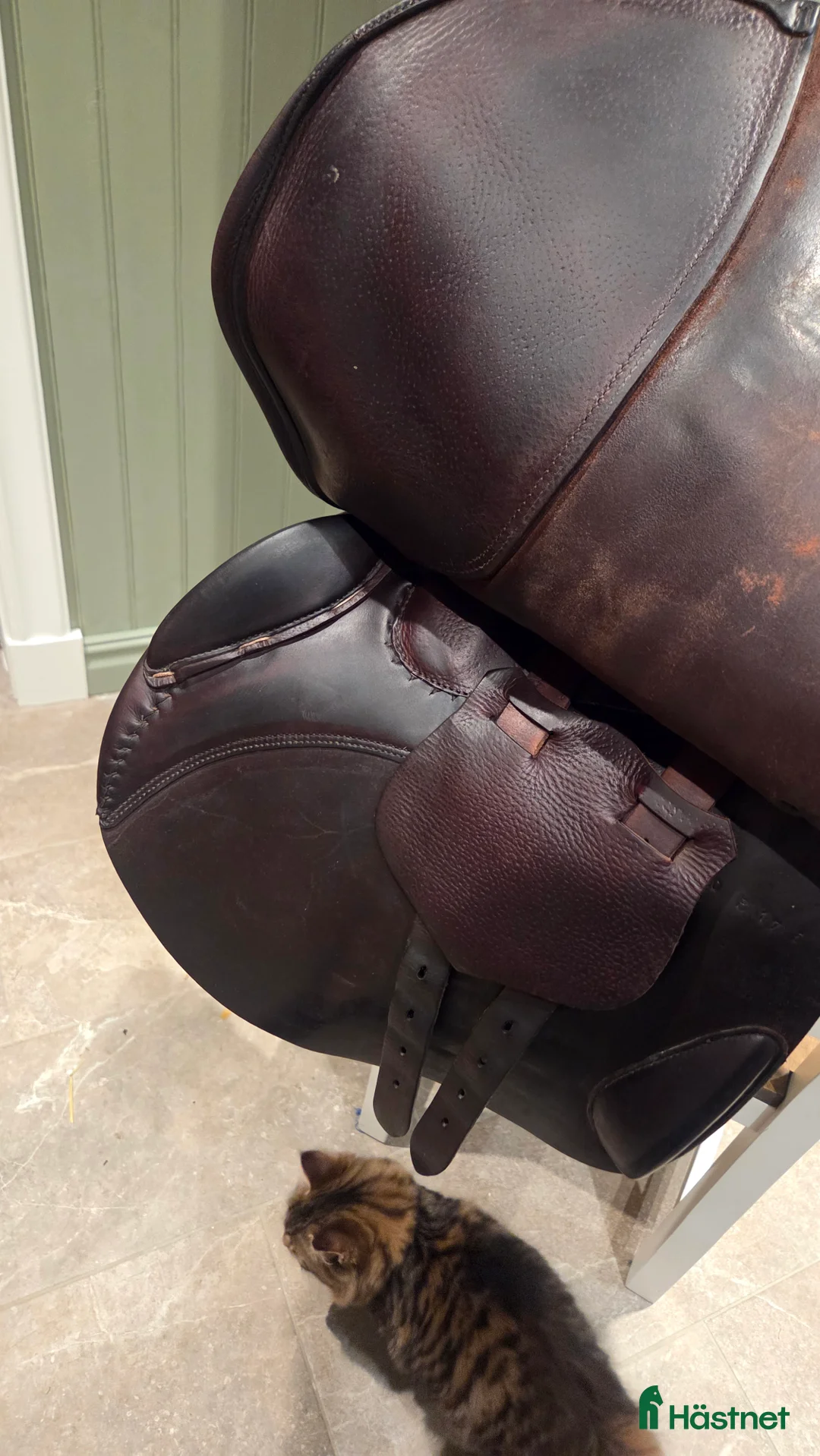 Sadlar hästutrustning till salu: Butet P sadel - Annons 2