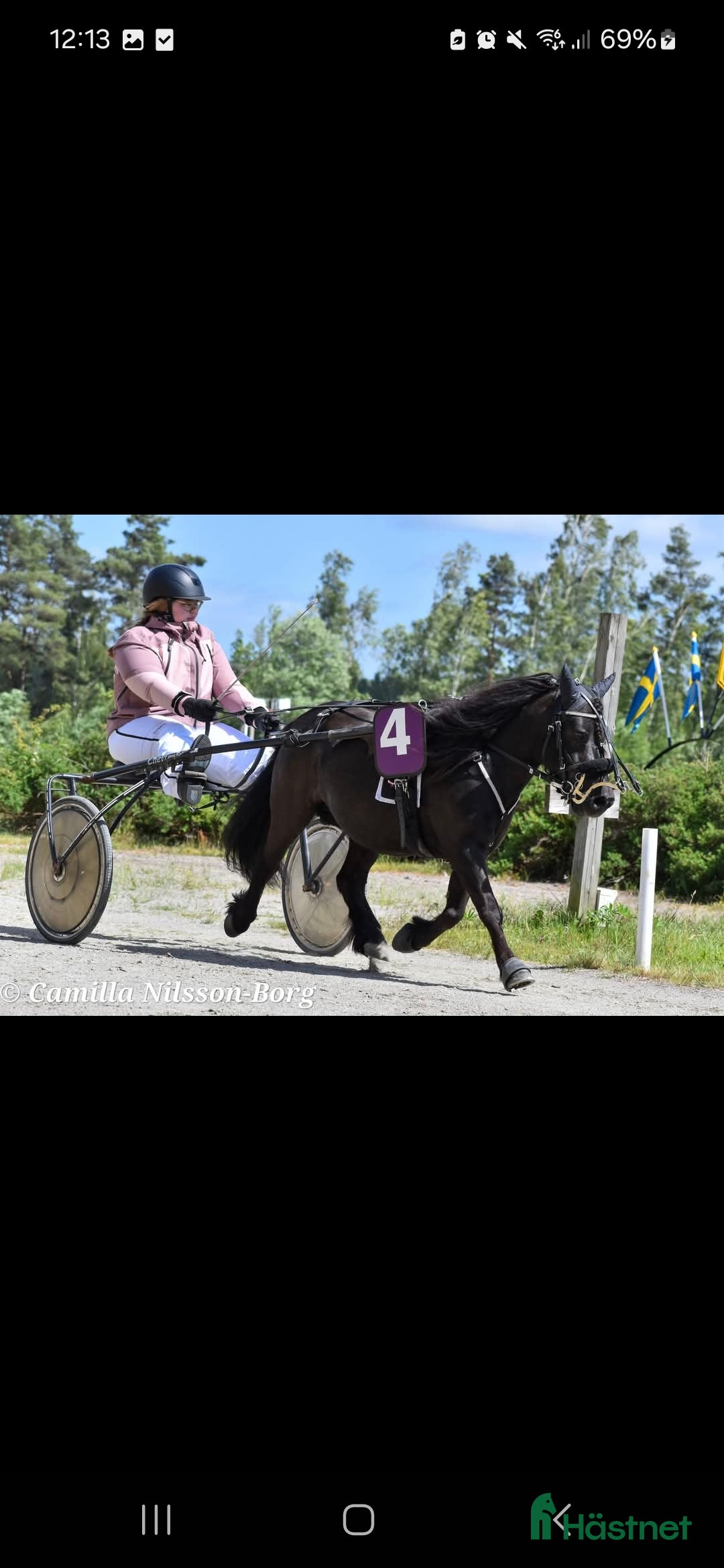  medryttarhäst sökes: Medryttarhäst Sökes runt vaggeryd i Skillingaryd - Annons 4